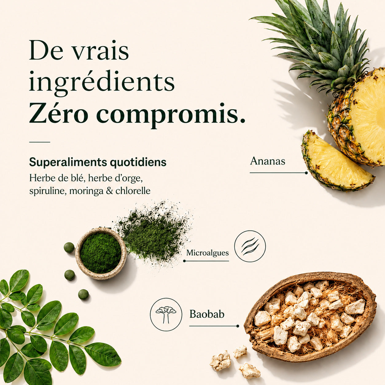 ALGORA | GreenUp™